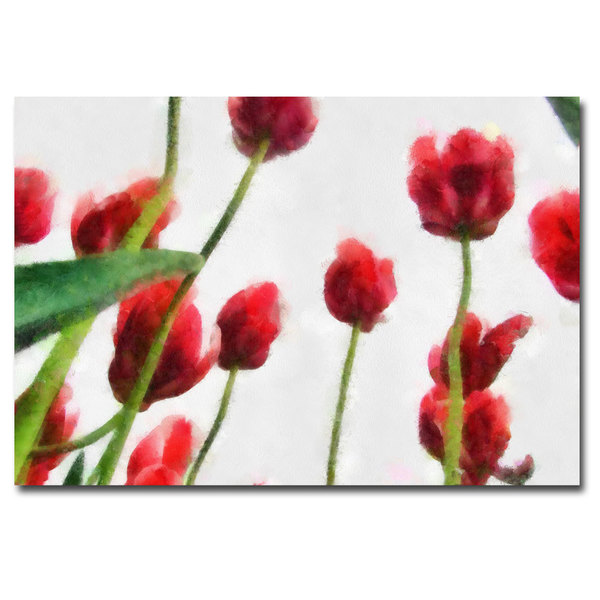 Trademark Fine Art Michelle Calkins 'Red Tulips from Bottom Up' Canvas Art, 22x32 MC0141A-C2232GG